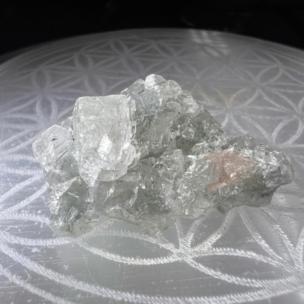 Apophyllite Blue Gray Crystal Mini Cluster - Picture 6 of 14